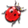 Ladybug's Avatar