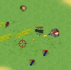 Bug Hunter Game