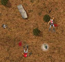 Soldiers - Raid Osama Bin Laden Game