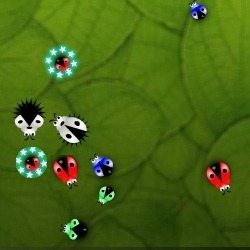 Beetles Game