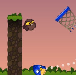 Basket Bird Game