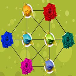 Flower Puzzler Game