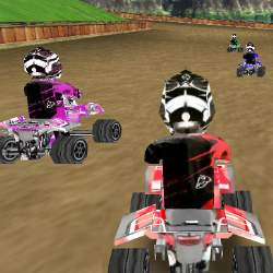 ATV Wild Adventure Game