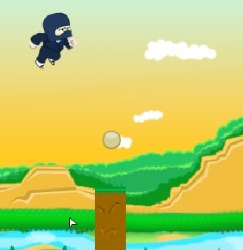 Ninja Trouble Game