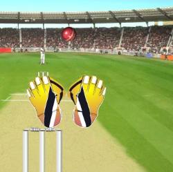 Cricket Wicket Game