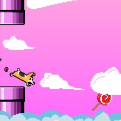 Flappy Corgi Game