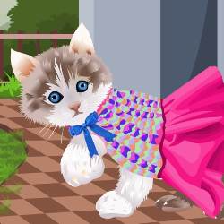 Cute Kitten Dress Up Game