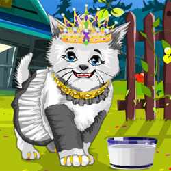 Kitty Cat Fashion Styling Game